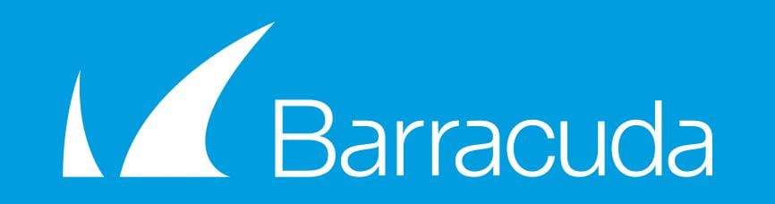 Barracuda's IT solutions and cyber security services by teknologi informatika virtual company for data protection